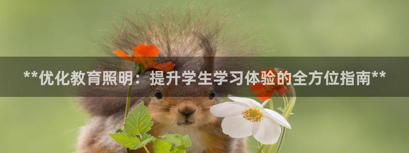 **优化教育照明：提升学生学习体验的全方位指南**