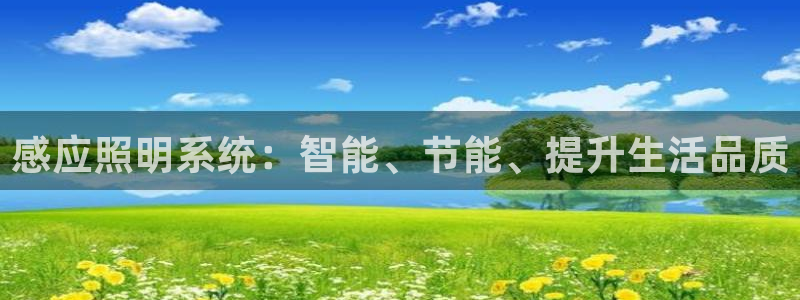 感应照明系统：智能、节能、提升生活品质