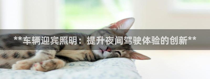 **车辆迎宾照明:提升夜间驾驶体验的创新**