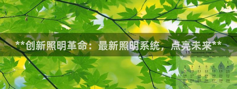 **创新照明革命：最新照明系统，点亮未来**