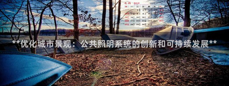 **优化城市景观：公共照明系统的创新和可持续发展**