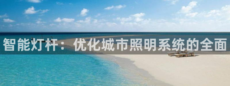 智能灯杆：优化城市照明系统的全面