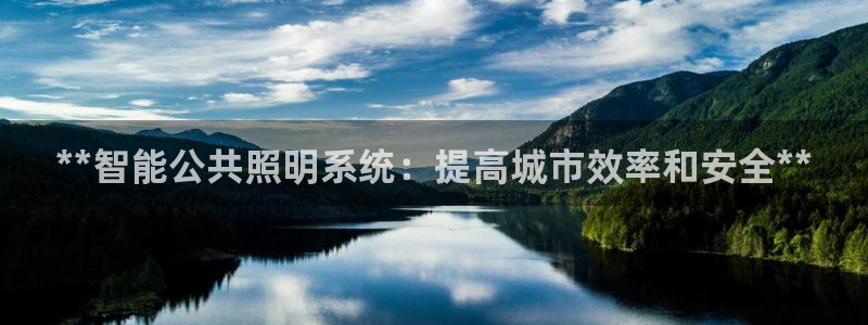**智能公共照明系统：提高城市效率和安全**