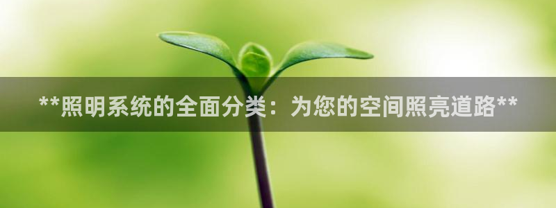 **照明系统的全面分类：为您的空间照亮道路**