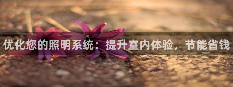 优化您的照明系统：提升室内体验，节能省钱