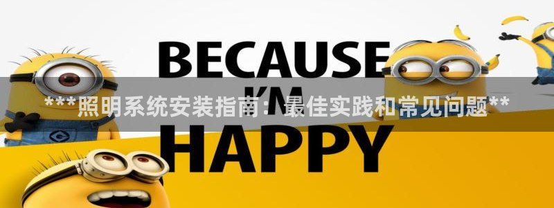 ***照明系统安装指南：最佳实践和常见问题**