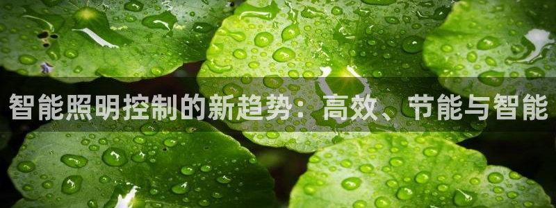 智能照明控制的新趋势：高效、节能与智能