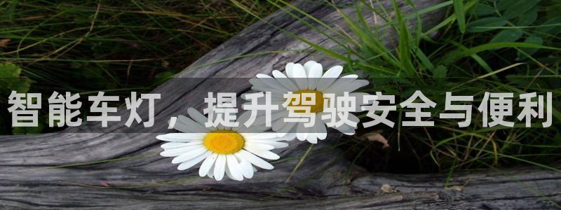 智能车灯，提升驾驶安全与便利