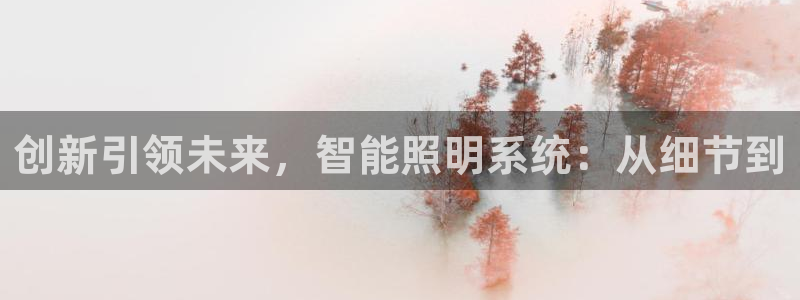 创新引领未来，智能照明系统：从细节到