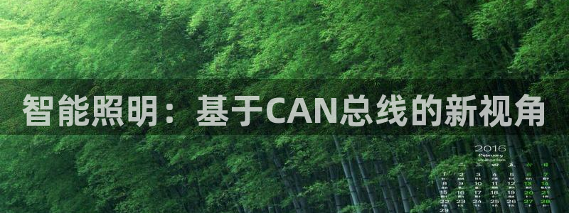 智能照明：基于CAN总线的新视角