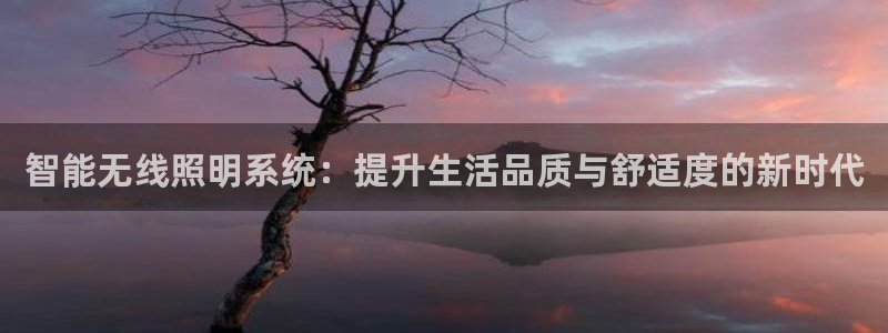 智能无线照明系统：提升生活品质与舒适度的新时代