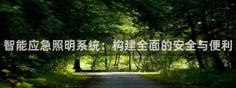 智能应急照明系统:构建全面的安全与便利