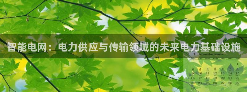 智能电网:电力供应与传输领域的未来电力基础设施