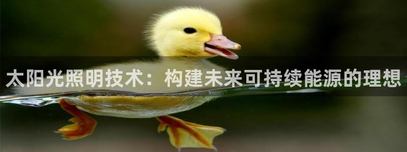 太阳光照明技术：构建未来可持续能源的理想