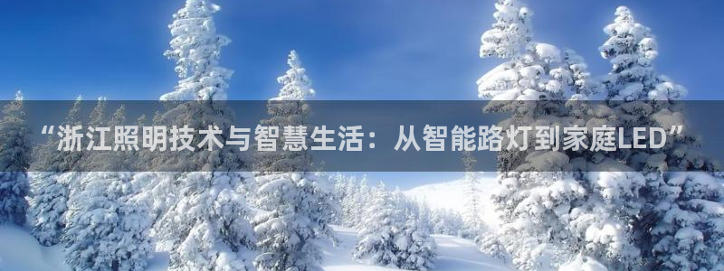 “浙江照明技术与智慧生活:从智能路灯到家庭LED”