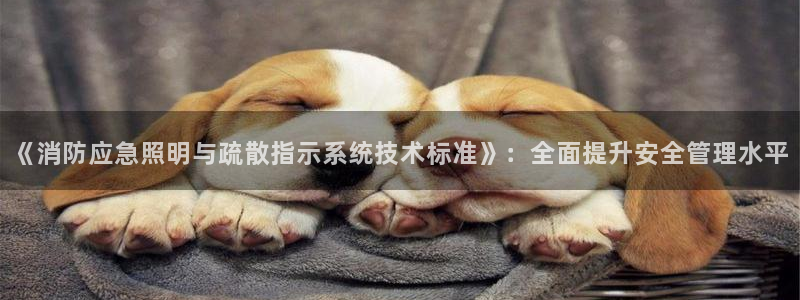 《消防应急照明与疏散指示系统技术标准》：全面提升安全管理水平