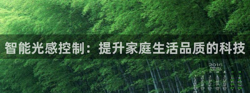 智能光感控制：提升家庭生活品质的科技