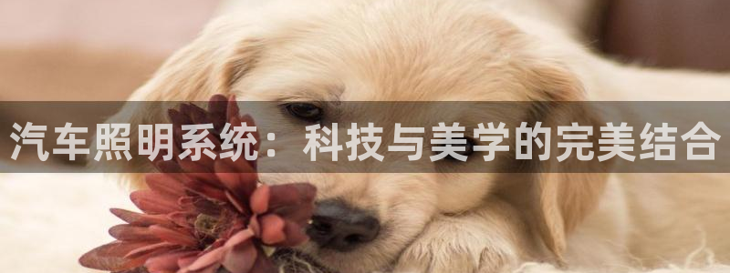 汽车照明系统:科技与美学的完美结合