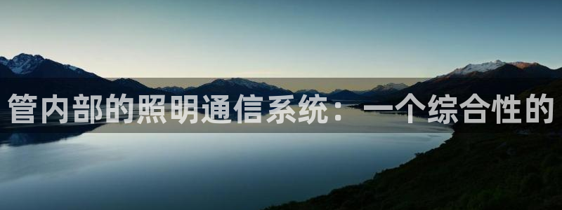 管内部的照明通信系统：一个综合性的