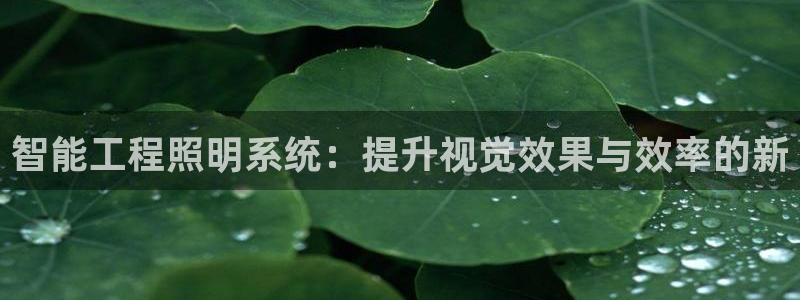 智能工程照明系统:提升视觉效果与效率的新