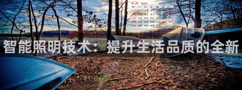 智能照明技术：提升生活品质的全新