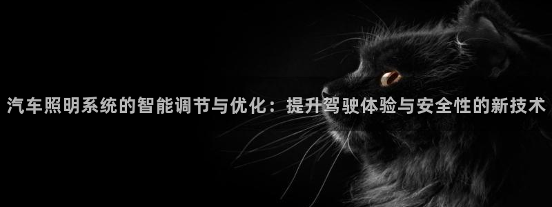 汽车照明系统的智能调节与优化：提升驾驶体验与安全性的新技术