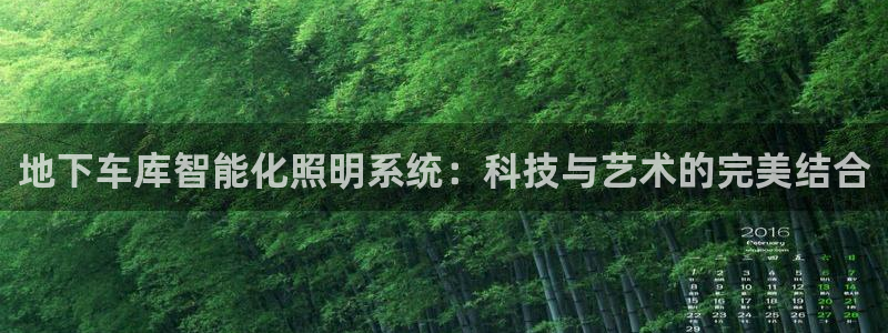 地下车库智能化照明系统:科技与艺术的完美结合