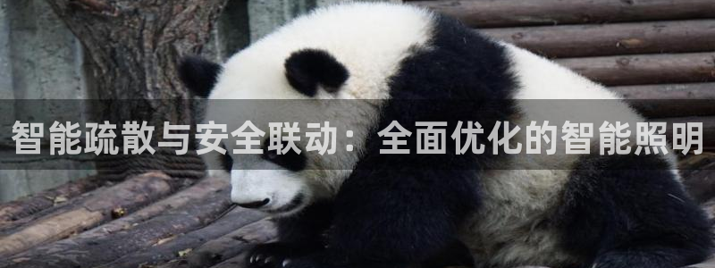 智能疏散与安全联动:全面优化的智能照明