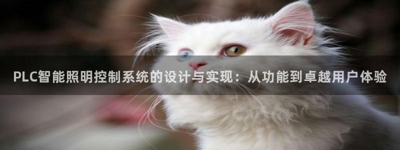 PLC智能照明控制系统的设计与实现:从功能到卓越用户体验