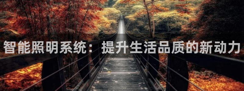 智能照明系统：提升生活品质的新动力