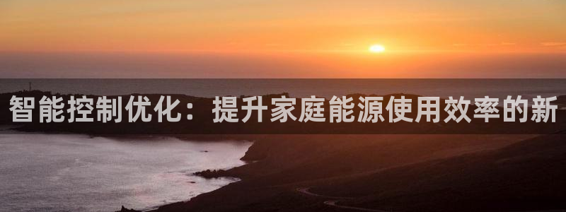 智能控制优化：提升家庭能源使用效率的新