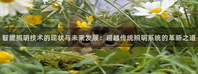 智能照明技术的现状与未来发展：超越传统照明系统的革新之道