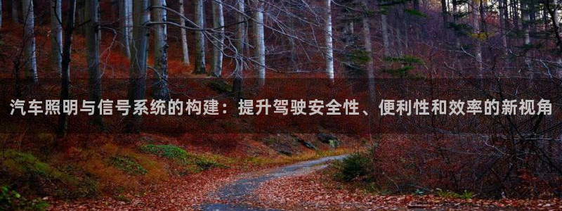 汽车照明与信号系统的构建：提升驾驶安全性、便利性和效率的新视角