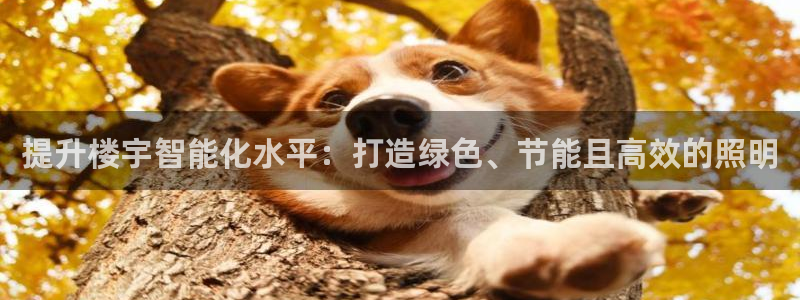 提升楼宇智能化水平：打造绿色、节能且高效的照明