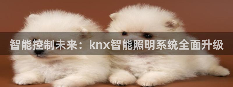 智能控制未来：knx智能照明系统全面升级