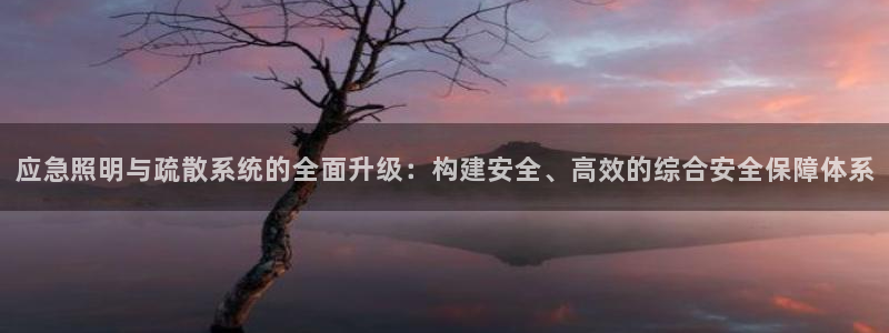 应急照明与疏散系统的全面升级：构建安全、高效的综合安全保障体系