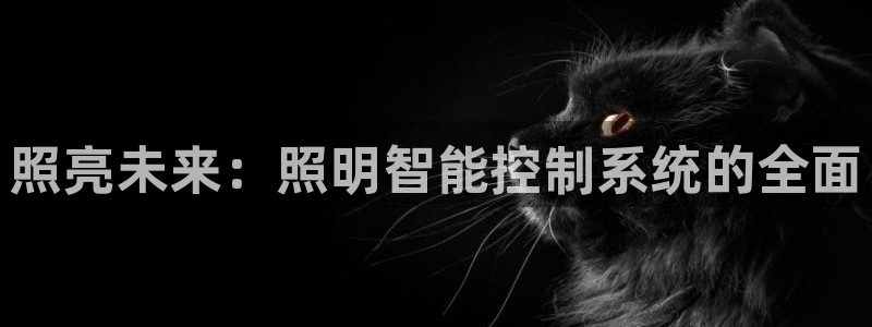 照亮未来：照明智能控制系统的全面