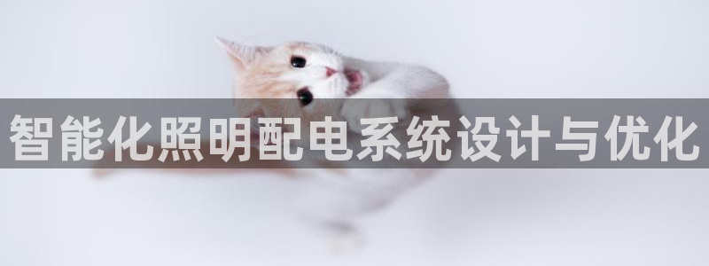 智能化照明配电系统设计与优化