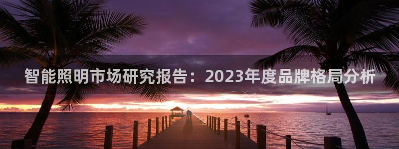 智能照明市场研究报告：2023年度品牌格局分析
