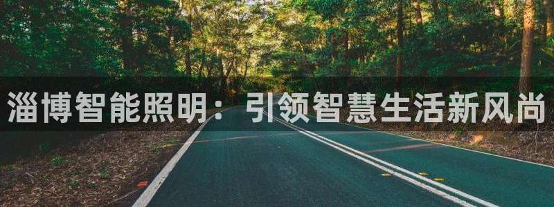 淄博智能照明：引领智慧生活新风尚