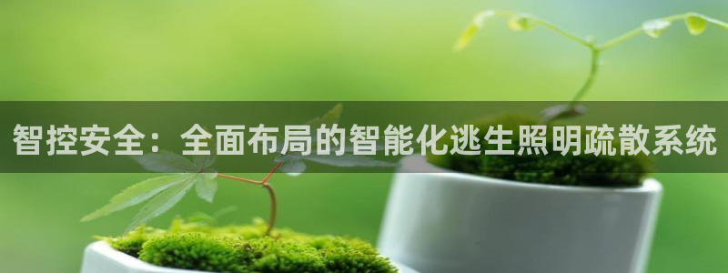 智控安全：全面布局的智能化逃生照明疏散系统