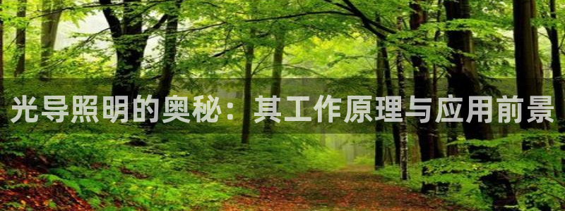 光导照明的奥秘：其工作原理与应用前景