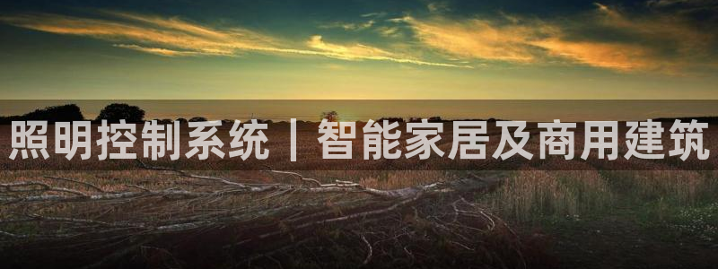 照明控制系统｜智能家居及商用建筑
