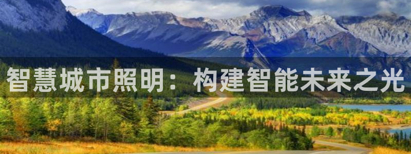 智慧城市照明：构建智能未来之光