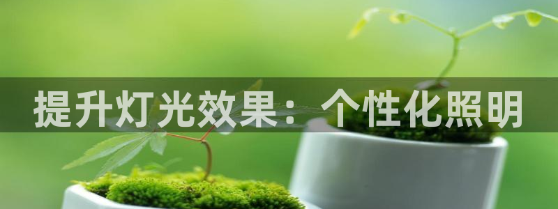 提升灯光效果：个性化照明