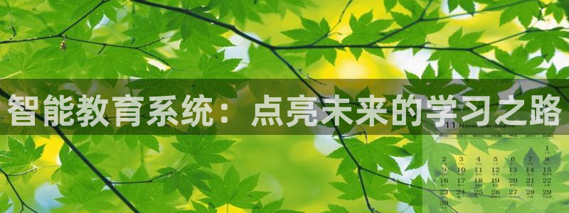 智能教育系统：点亮未来的学习之路