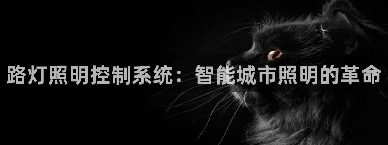 路灯照明控制系统：智能城市照明的革命