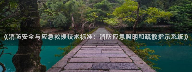 《消防安全与应急救援技术标准：消防应急照明和疏散指示系统》