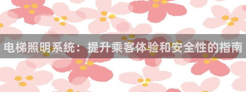 电梯照明系统：提升乘客体验和安全性的指南