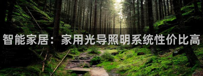 智能家居：家用光导照明系统性价比高